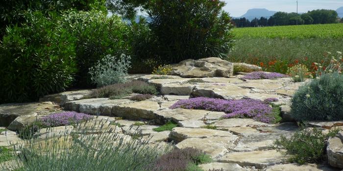 agencement pierres et rocailles jardin