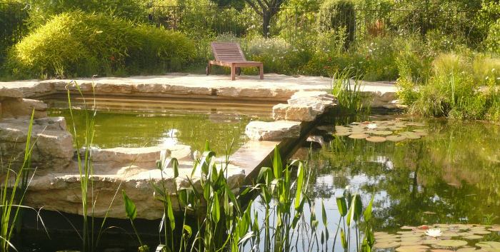 photo etang filtration piscine naturelle