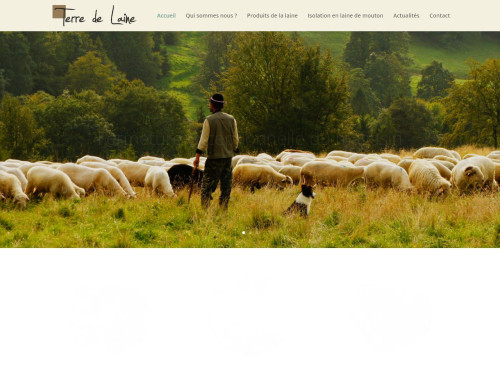 laine de mouton isolation en Auvergne